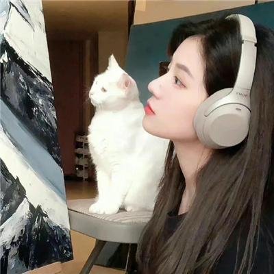 大佬爱美丽