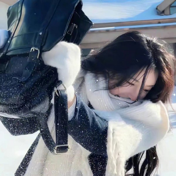 盗贼泰瑞莎